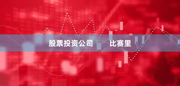 股票投资公司        比赛里