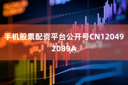 手机股票配资平台公开号CN120492089A